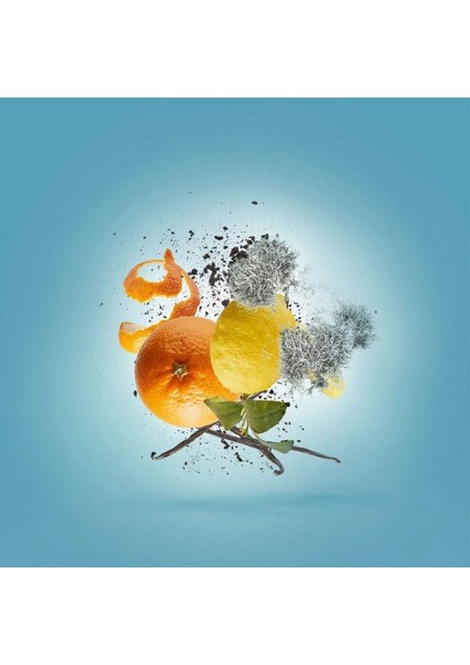 Erba Pura Edp 100 ml Unisex Parfüm fırsatları