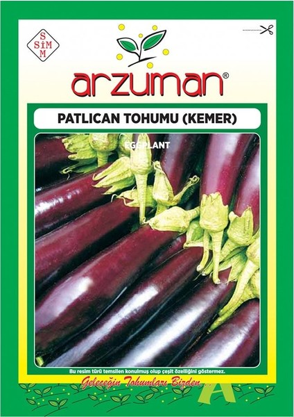 Dayanıklı Kemer Patlıcan Tohumu-10 Gram
