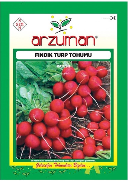 Yaprağı Yenen Fındık Turp Tohumu-25 Gram