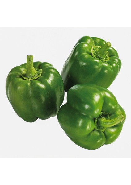 Doru 16 Dolma Biber Tohumu-5 Gram (Orjinal Paket)