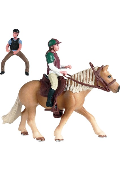 At Figürü 3-8 Yaş Hediyesi C (Yurt Dışından)