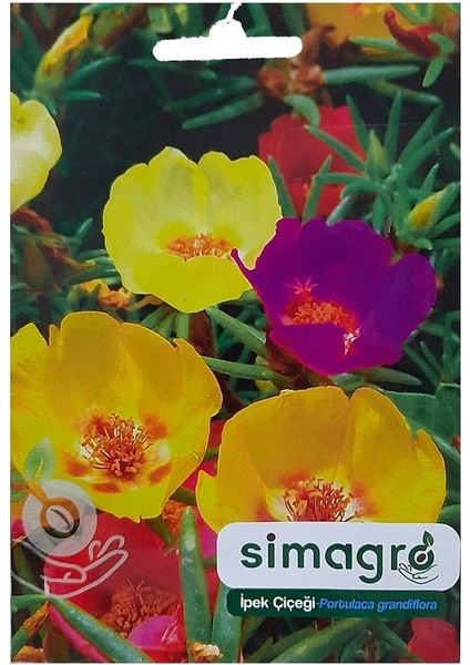 Karışık Kedi Tırnağı (Ipek) Çiçeği TOHUMU-100 Adet