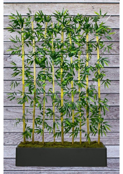 Yapay Çiçek Antrasit Saksıda 180 cm Bambu 10 Adet (Tüm Set Dahil) Seperatör