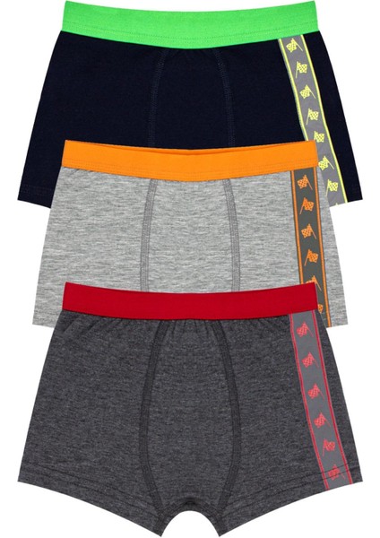 Erkek Çocuk Boxer 3'lü (%96 Pamuk - %4 Elastan)