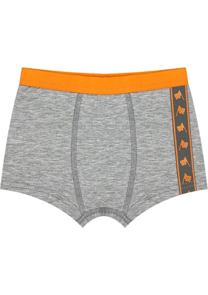 Erkek Çocuk Boxer 3'lü (%96 Pamuk - %4 Elastan) modelleri