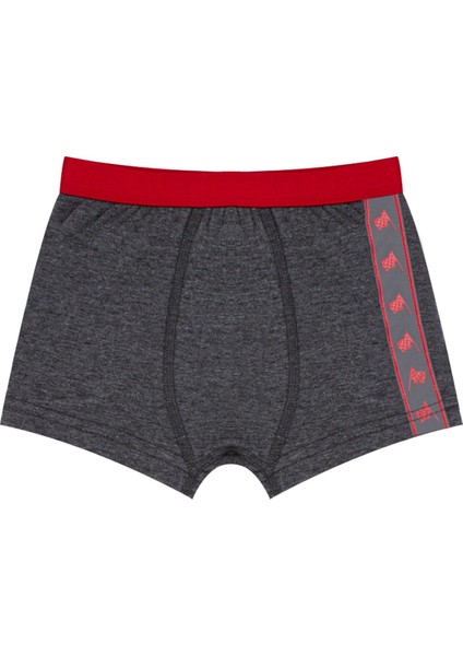 Erkek Çocuk Boxer 3'lü (%96 Pamuk - %4 Elastan) fırsatları