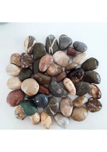 Yapay Çiçek Antrasit Saksıda 150 cm Bambu 15 Adet (Tüm Set Dahil) Seperatör indirimleri