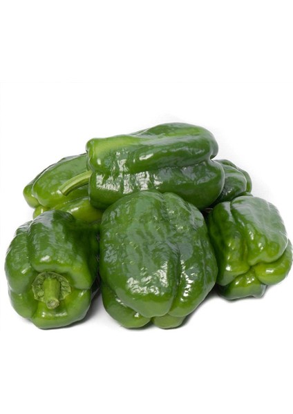 Acı Antep Dolma Biber Tohumu-3 Gram (Orjinal Paket)