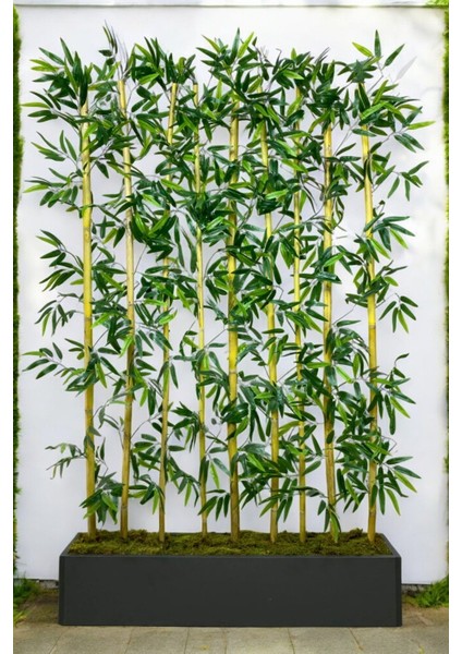 Yapay Çiçek Antrasit Saksıda 170 cm Bambu 10 Adet (Tüm Set Dahil) Seperatör