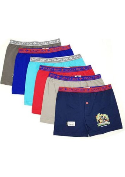 Erkek Çocuk Likralı Boxer 6'lı Paket-Renkli fiyatları
