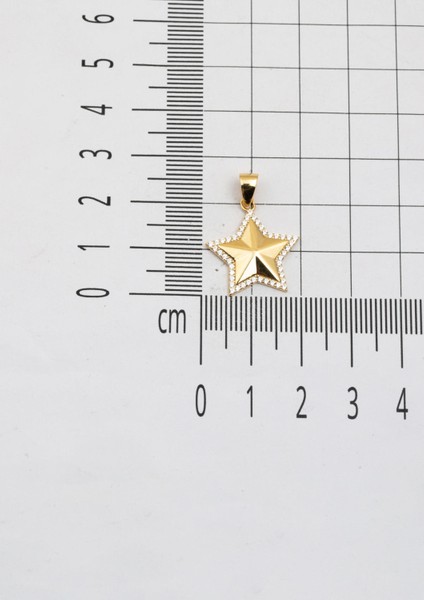 Deniz Yıldızı 14 Ayar Altın Kolye Ucu fırsatları