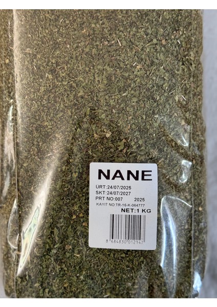 Nane modelleri