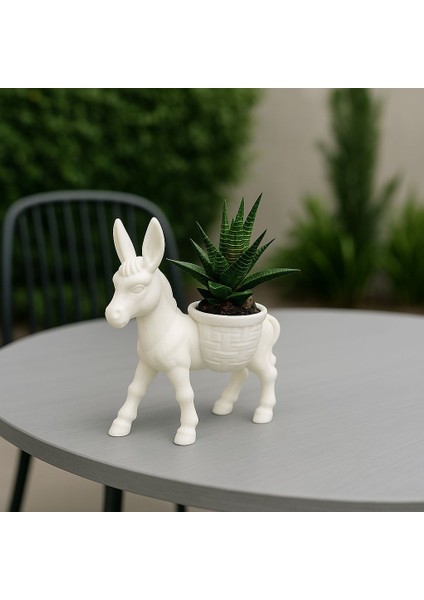 Donkey Sukulent & Kaktüs Dekoratif Saksı Bahçe Balkon Dekoru