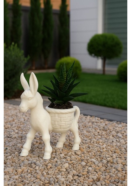 Donkey Sukulent & Kaktüs Dekoratif Saksı Bahçe Balkon Dekoru fiyatları