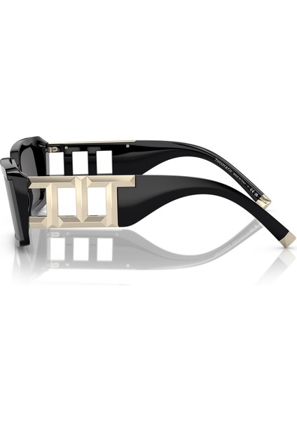 Tf 4197 8001S4 62 Güneş Gözlüğü