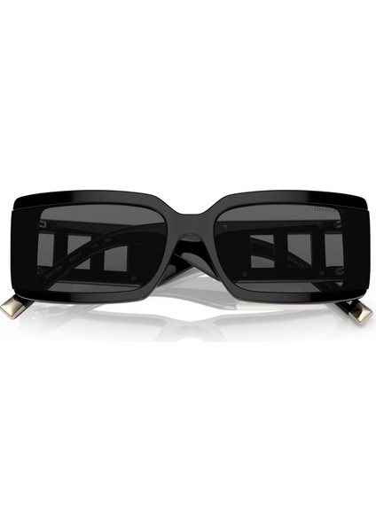 Tf 4197 8001S4 62 Güneş Gözlüğü fiyatları