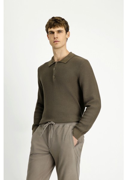 Polo Yaka Regular Fit Desenli Pamuklu Triko Kazak fırsatları