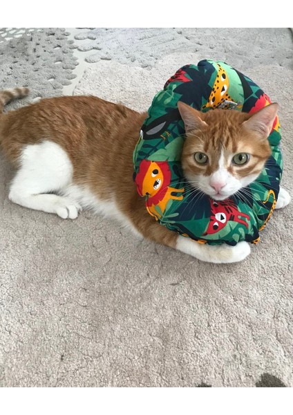 Kedi Köpek Kumaş Operasyon Boyunlu Elizabeth Yakalık modelleri