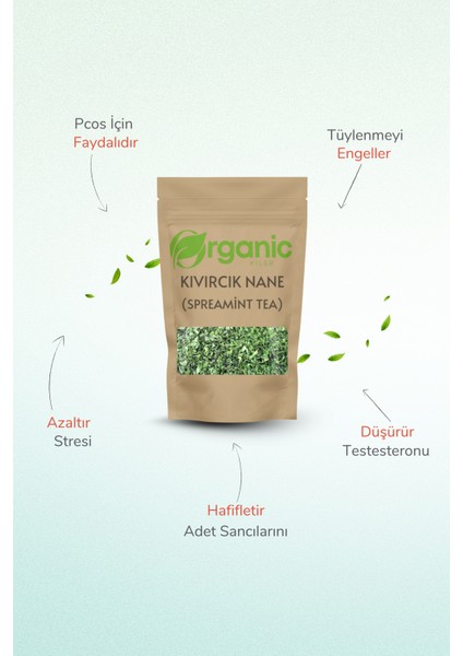 Doğal Kıvırcık Nane Çayı - Spearmint Tea 2X100GR 2'li Set - Katkısız & %100 Doğal - Pcos & Mide Dostu modelleri