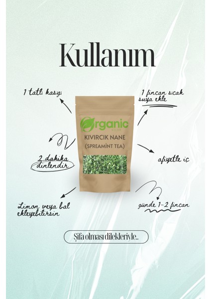 Doğal Kıvırcık Nane Çayı - Spearmint Tea 2X100GR 2'li Set - Katkısız & %100 Doğal - Pcos & Mide Dostu fırsatları