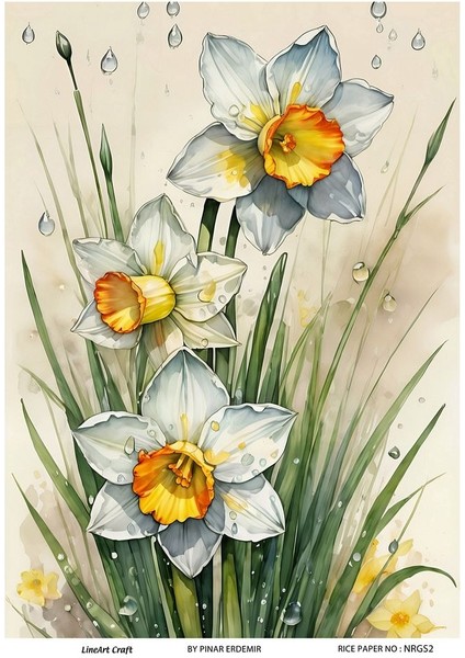 Nergis Serisi Nrgs2 Nergis Desenli 29*42 cm Pirinç Dekopaj