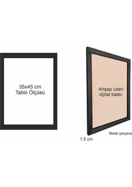 Boeing 787-9 Dreamliner Tablo Metal Çerçeveli Ahşap Pilot - Havacı - Uçak Tutkunu fiyatları