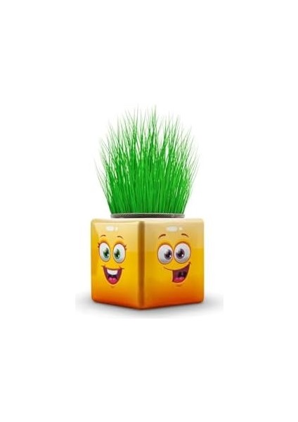 3 Adet Karışık 3 Tarafı Emojili Küp Çim Adamlar Okul ve Okul Öncesi Hediyelik Çim Adam BAMBMNM418 modelleri