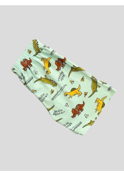Erkek Çocuk Pamuklu Fitilli Mavi Dinozor Desenli Kısa Kollu Şortlu Yazlık Pijama Takımı fırsatları