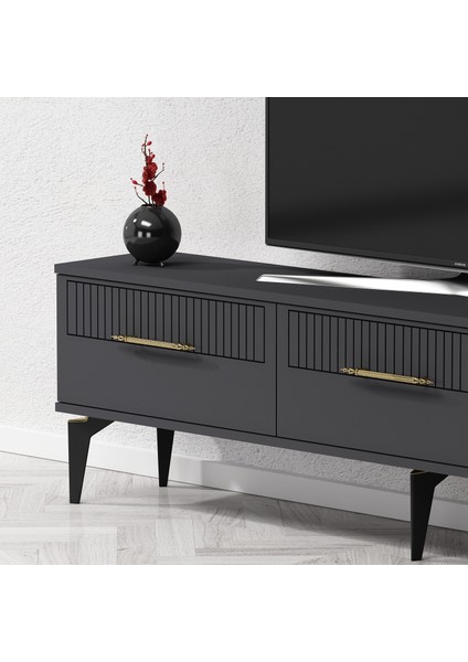 Alvinct 180 cm Tv Ünitesi Takımı Antrasit-Antrasit fiyatları