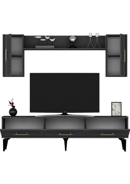 Alvinct 180 cm Tv Ünitesi Takımı Antrasit-Antrasit modelleri