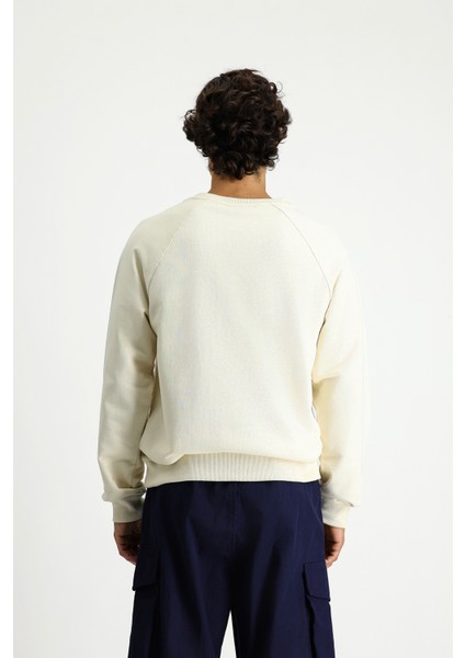 Bisiklet Yaka Regular Fit Baskılı Pamuk Sweatshirt indirimleri