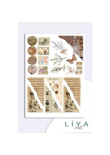 Vintage Sticker Set - 5'li, Kahverengi ve Pastel Tonlarda, 10x14 cm, Çiçek ve Retro Desenli