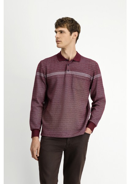 Polo Yaka Regular Fit Çizgili Sweatshirt