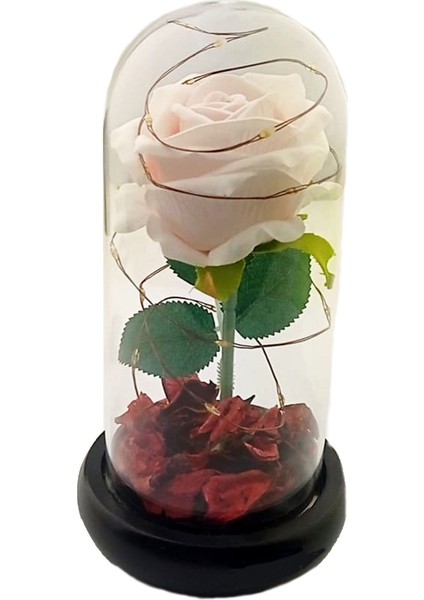 Romantik Sevgililer Temalı Işıklı Gül Fanus