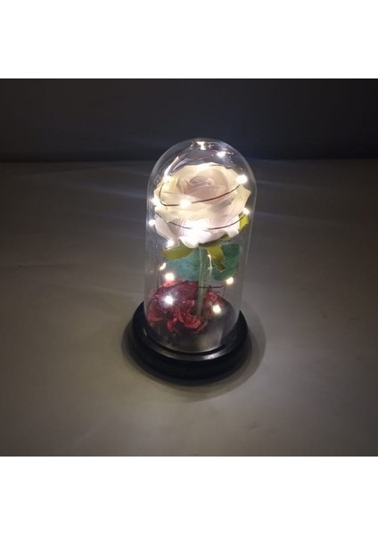 Romantik Sevgililer Temalı Işıklı Gül Fanus fiyatları