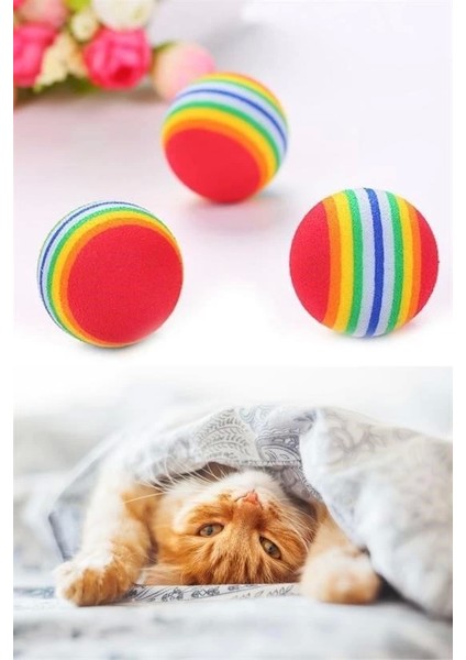 Bfs 3lü Gökkuşağı Sünger Kedi Köpek Çiğneme Oyun Topu 4,2 cm