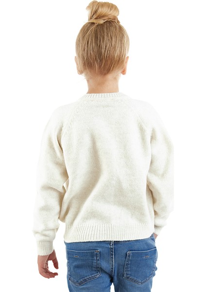 Oyuncaklı Kız Çocuk Triko Hırka fiyatları