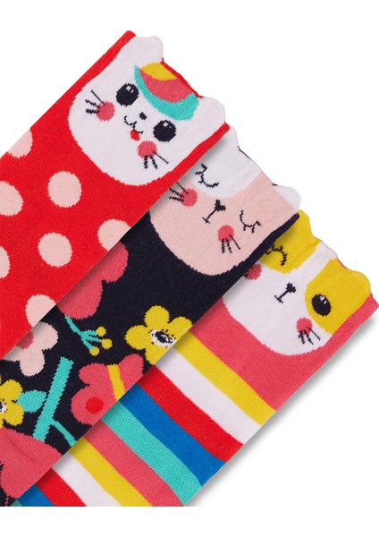 Renkli Kediler Kız Çocuk 3'lü Kutulu Çorap fiyatları