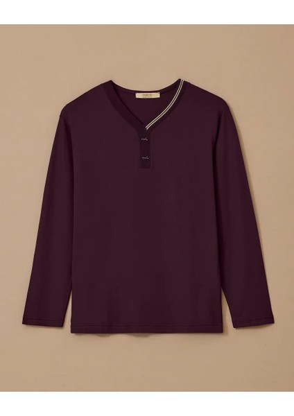 Büyük Beden V Yajakı Uzun Kollu Şerit Detaylı Bluz Gala-Xi fırsatları