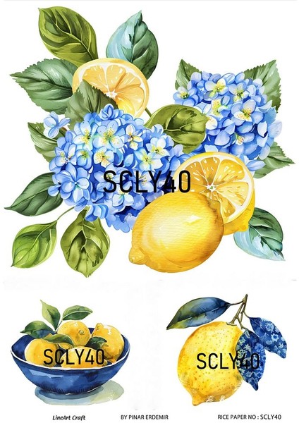 Sicilian Serisi SCLY40 Pirinç Dekopaj 30*42 cm