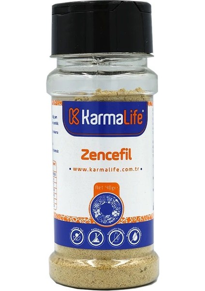 Toz Zencefil 40 gr