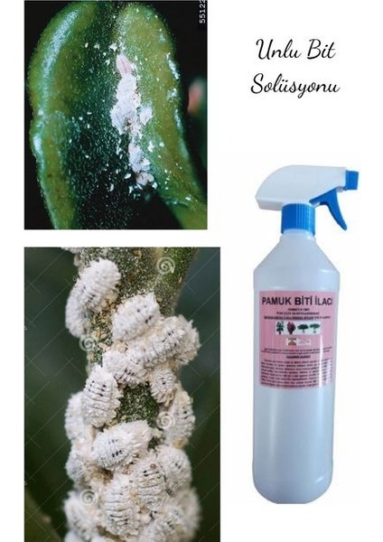 Çiçek ve Bitkiler Için Unlu Pamuk Biti Ilacı 1 Litre