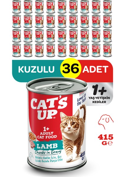 Cats Up Yaş Yetişkin Kedi Maması Kuzu Etli 415GR 36LI