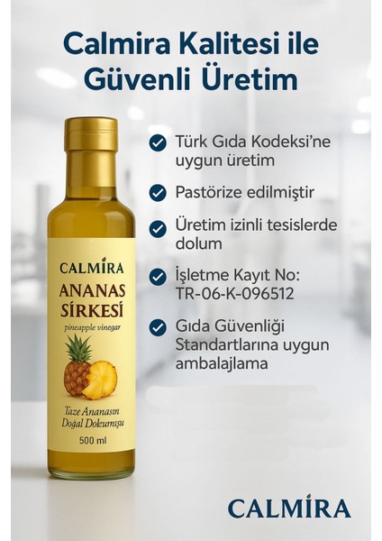 Ananas Sirkesi - Pineapple Vinegar 500 ml modelleri