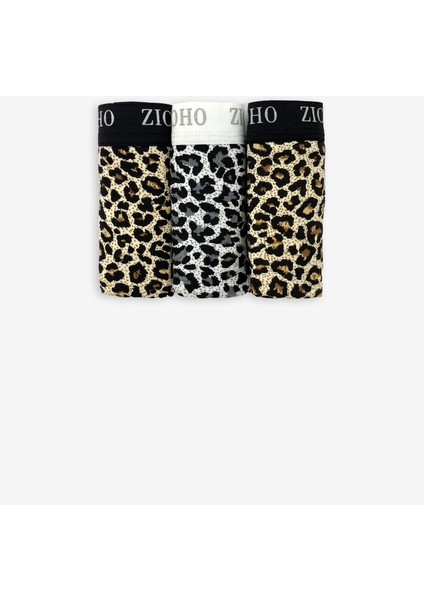 Pamuklu ve Likralı Desenli Bikini Külot 3'lü Paket fiyatları