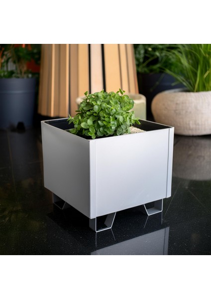 Duracube Mini Boy Metal Saksı - 19X20X20CM Y-D-G (Kaynaklı & Hazır Kullanım) fırsatları