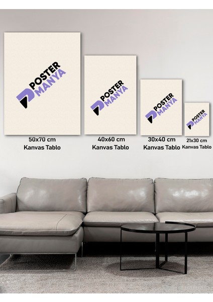 Tuval Boyama Seti, Boş Resim Tuvali ve Akrilik Boya Kiti, Hobi Sanat Resim Yapma Seti, Boya ve Fırça modelleri