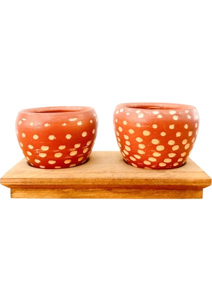 Bitki Tasarımı Ev Dekorasyon Aksesuar Beyaz Nokta Terakota Saksı Ikili Ahşap Tabanlı Çiçeklik Saksı Saksılık