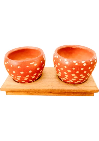 Bitki Tasarımı Ev Dekorasyon Aksesuar Beyaz Nokta Terakota Saksı Ikili Ahşap Tabanlı Çiçeklik Saksı Saksılık modelleri