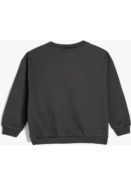 Pamuklu Uzun Kollu Bisiklet Yaka Şardonlu Basic Sweatshirt fiyatları